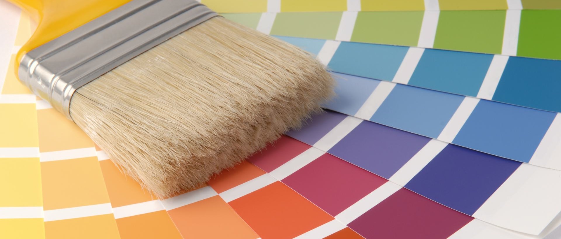 Painter N17